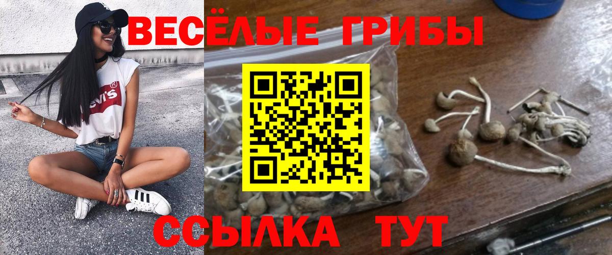 Галлюциногенные грибы мицелий Нальчик