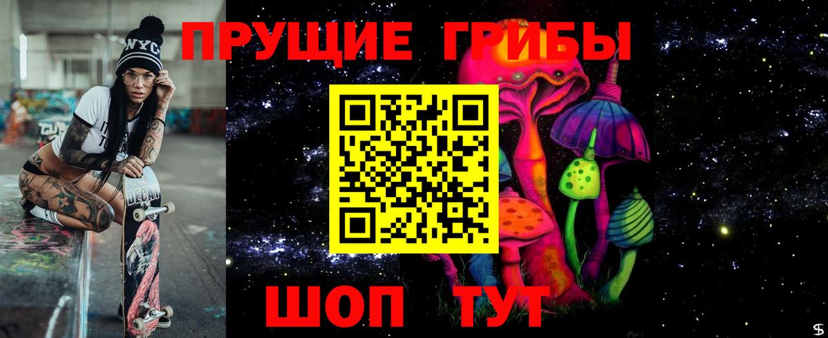 Псилоцибиновые грибы Cubensis  даркнет сайт  Нальчик  Псилоцибиновые грибы MAGIC MUSHROOMS  Вход с VPN 